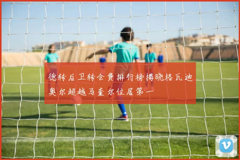 德转后卫转会费排行榜揭晓格瓦迪奥尔超越马奎尔位居第一
