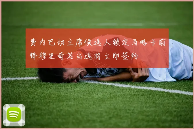 费内巴切主席候选人锁定马略卡前锋穆里奇若当选将立即签约