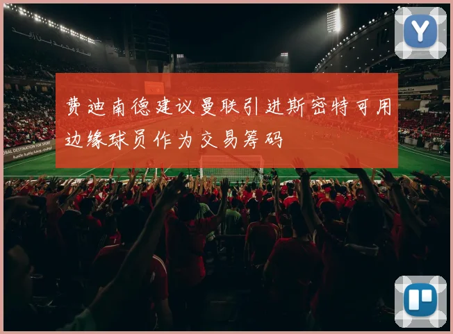 费迪南德建议曼联引进斯密特可用边缘球员作为交易筹码