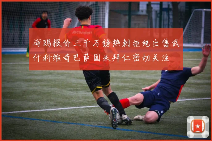 海鸥报价三千万镑热刺拒绝出售武什科维奇巴萨国米拜仁密切关注