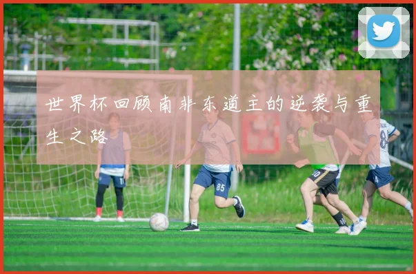 世界杯回顾南非东道主的逆袭与重生之路